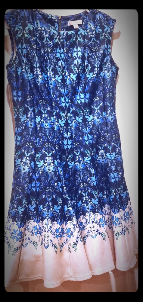 PRICE DROP! Dressbarn Woman's A-line Pleated Dress